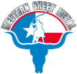 wsm-logo